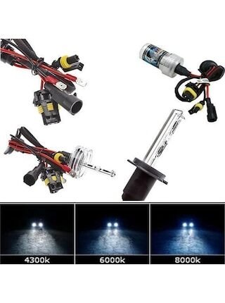 H1 8000K Xenon Far Ampulü