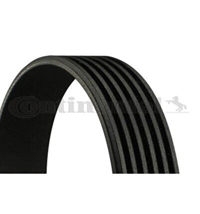 Kanallı Kayısı Audı Chevrolet Ford Jaguar Jeep 68482 Contı 6pk2465