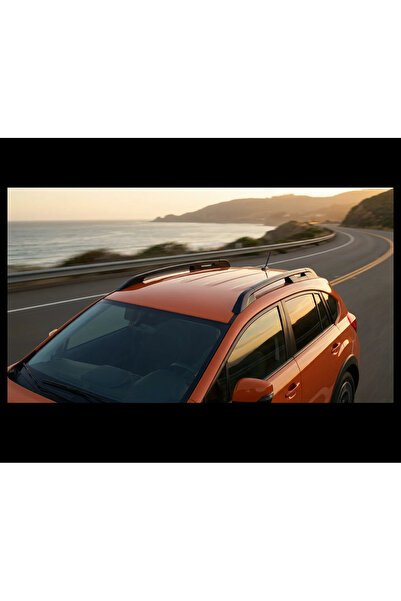 1_org_zoom-17267.jpg Amarok 2010- Tavan Cıtası Falcon Sıyah - Görsel 1