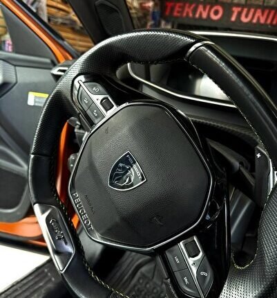 Peugeot Yeni Direksiyon Aslan Logo