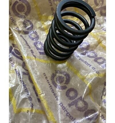 MURAT 124/SERÇE 1.300/1.600 SUBAP İÇ YAYI ESKİ ÜRETİM  1 ADET Uyumlu