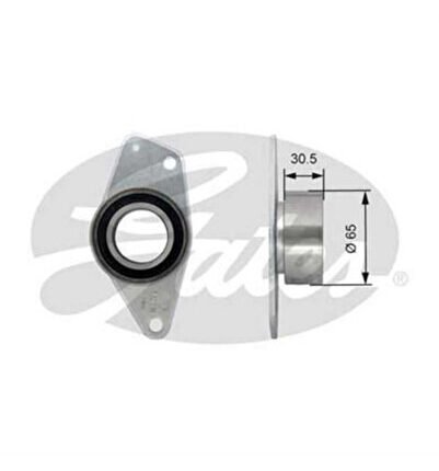 T42091 EKSANTRİK GERGİ RULMANI CLIO II KANGOO LAGUNA MEGANE