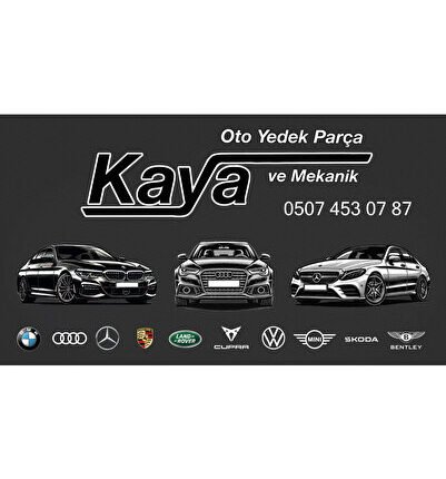 DUSTER- 18/23; ÖN KAPI KOMPLE SAĞ (TW)